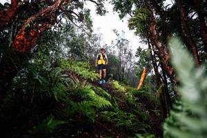 BIB: 
                            <button type="button" onclick="openModal(26205584)" class="btn btn-primary btn-sm float-right btn-popup" data-toggle="modal" data-target=".modal-high-quality">
                        <i class="fas fa-shopping-cart"></i> Add to Cart
                    </button>
                                            <button type="button" onclick="isThisMe(26205584, true)" class="btn btn-success btn-sm float-right btn-popup btn-isme hidden" data-toggle="tooltip" data-placement="bottom" title="นี่คือรูปของคุณใช่ไหม คลิกที่นี่เพื่อเอาเข้าอัลบั้ม">
                        <i class="fas fa-plus"></i> Add to album
                    </button>
                    <button type="button" onclick="isThisMe(26205584, false)" class="btn btn-warning btn-sm float-right btn-popup btn-isnotme hidden">
                        <i class="fas fa-ban"></i> Remove from album
                    </button>